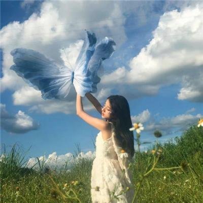 胡杨的夏天